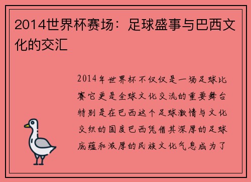 2014世界杯赛场：足球盛事与巴西文化的交汇