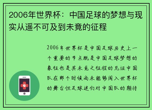 2006年世界杯：中国足球的梦想与现实从遥不可及到未竟的征程